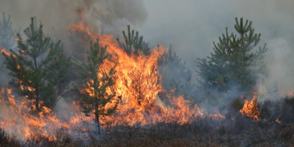 Phase One cameras in disaster management and recovery mapping