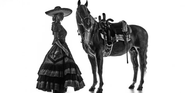 How Phase One Transforms Loreto Villarreal’s Vision