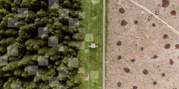 From Pixels to Perception—transforming imaging quality into insight